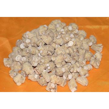 Sophora Flavescens Extract Matrine