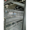 New Design Low Cost Battery Broiler Cage with Certificate of ISO9001