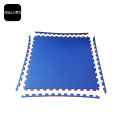 Tapis d&#39;arts martiaux d&#39;exercice EVA 20 mm