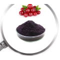 Cranberry Extract powder PAC 5% 10%