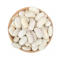 Meilleures formules de contrôle du poids extrait de haricots rénaux blancs
