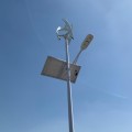 The Factory Sells Wind Power Hybrid Solar Street Lights At Low Prices