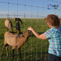 High Tensile Strength Woven Cattle Fence