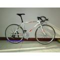 Hot Sale Sports Road Bikes, Track Bicycles (FP-RB-10)