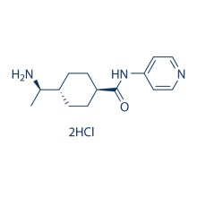 Paclitaxel 33069-62-4