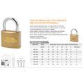 Imitate Brass Arc Type Padlock (brass painted finishing)