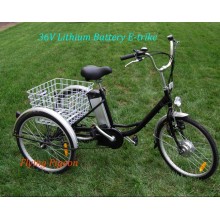 Strong Multi-Speed Elder Electric Cargo Trike (FP-ETR002)