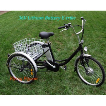 Strong Multi-Speed Elder Electric Cargo Trike (FP-ETR002)