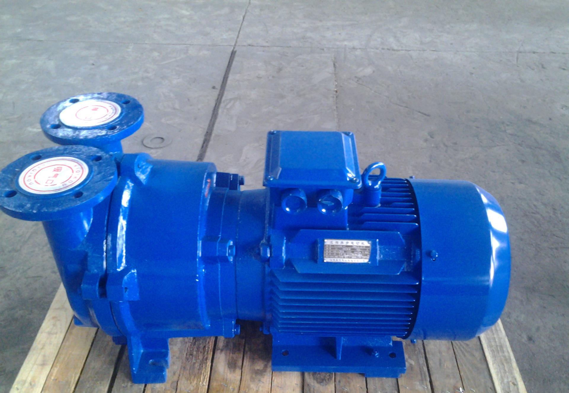 2BV series explosion-proof water ring vacuum pump 2