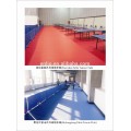 wholesale carpet supplies with PVC Floor