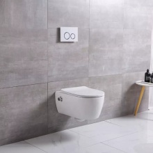 Nozzle Toilet Bidet European Standard Wall HungToilet