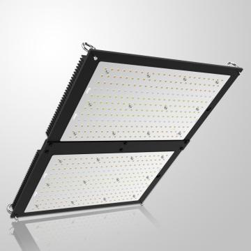 PHLIZON 200W LED Le tableau quantique a augmenté la lumière