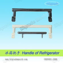 Injection Mould/Plastic Mould/Refrigerator Plastic Injection Mold (HRD-H74)