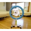 Indoor Outdoor Pet Training Equipment