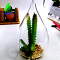 transparent glass bubble round shape Hanging Glass Terrarium