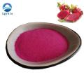 Poudre de pitaya en poudre de fruit du dragon rouge lyophilisée