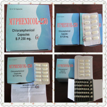 Antibióticos Chloramphenicol Capsules