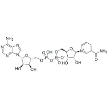 NAD + 53-84-9