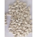 China Roasted and Salted Pumpkin Seeds 11cm