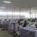 Jinxiang Garlic Exporter