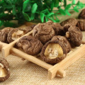 Wholesale Dried Mushrooms At Low Prices