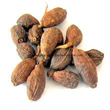 Tsaoko Amomum Frucht