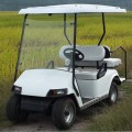 cheap price golf cart for golf club