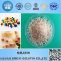 Professional high quality donkey-hide gelatin made in China