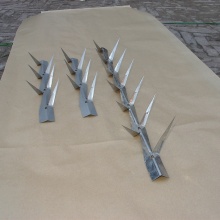 Hot-Dipped Galvanized Wall Spike/Razor Wall Spike