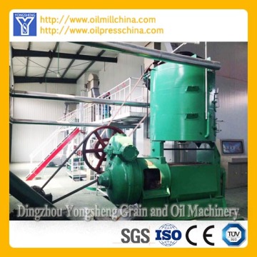 Peanut Oil Making Machine Screw Oil Press Machine