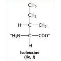 Classe Farmacêutica L-Isoleucina / Isoleucina