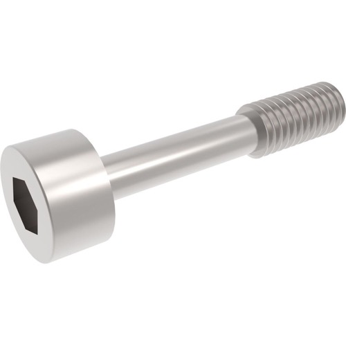 stainless steel screw