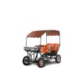 Hot sale four wheels four seats electric travel and sightseeing car