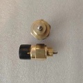 SINOTRUK Howo Parts Interruptor de presión neutral WG2209280022