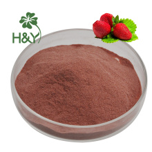 Factory supply 100% Strawberry juice fruit powder