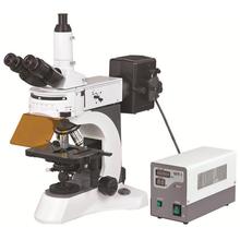 Broscope BS-7000A Microscope biologique fluorescent vertical