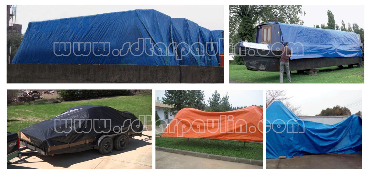 Tarp Appilication