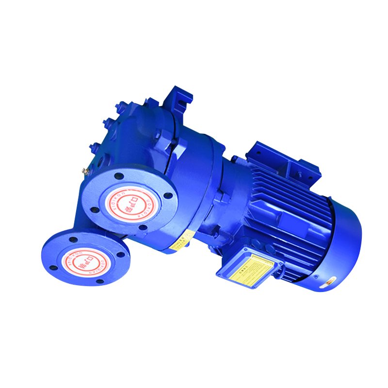 Durable Screw Vacuum Pump