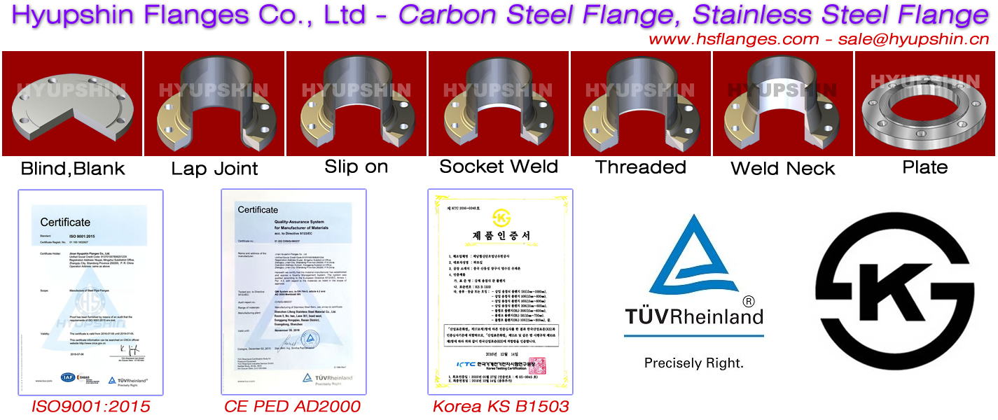 Hyupshin Flanges China Steel Flange Manufacturer