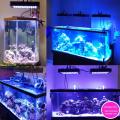 Acuario remoto de iluminación LED para pecera