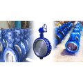 Butterfly Valve Double Eccentric Center