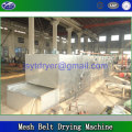 Pleurotus eryngii Laccase Mesh Belt Drying Machine