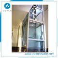 China Manufacture Capsule Sightseeing Lift Observation Elevator Price