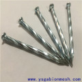 blank compressed metal iron common concrete wire nails