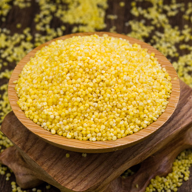 Yellow Millet 