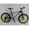 Popular New Model 20 &quot;* 4.0 Wide Fat Tire Bike (FP-MTB-FAT07)