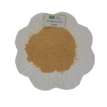 Tea Seed Extract Tea Saponins Powder 60%-90%