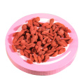 Dried Organic Goji Berry 280 grains per 50g