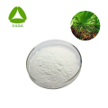 Saw Palmetto Extract Powder Palm Fatty Acid 45%