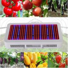 Full Spectrum 600W LED Grow Light pour plantes à fleurs et système hydroponique Lampes à usines LED AC85 ~ 265V